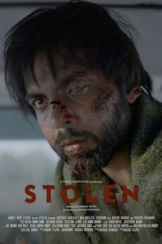stolen ibomma movie